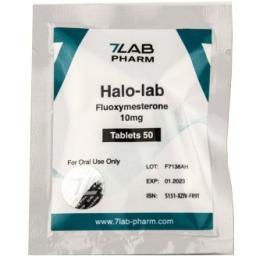Halo-lab 10