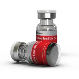 Testabol Enanthate