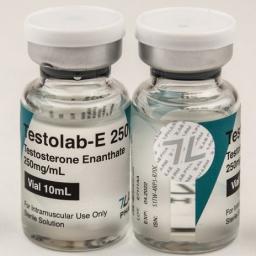 Testolab-E 250 - Testosterone Enanthate - 7Lab Pharma, Switzerland