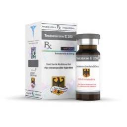 Testosterone E 250 - Testosterone Enanthate - Odin Pharma