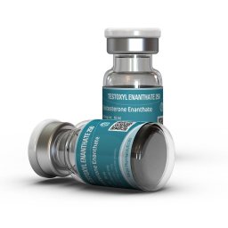Testoxyl Enanthate 250 Image